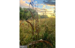 DOVER Road, GLYNDON, MD 21071