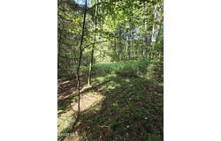 Strawberry Road, Lilly, PA 15938