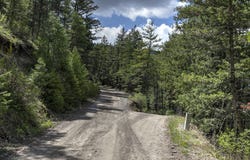 13275 Balsamroot Road, Lolo, MT 59847