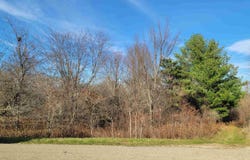 2 Vermilion Lane, GALENA, IL 61036