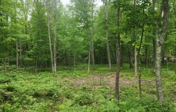 186TH AVE, McGregor, MN 55760