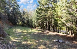 Frontage Road, Wolf Creek, OR 97497