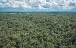 Geronimo Springs-Tract 3, Macks Creek, MO 65786