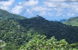 Cuyón, Aibonito, PR 00705