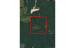40 Squirrel, Imboden, AR 72434