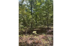 Ross Hollow, Roland, AR 72223