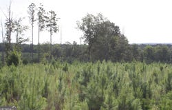 Balerma Church Road, Sparta, GA 31087