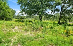 Highway 31 E, Tyler, TX 75705