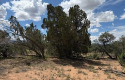 159 Mountain View, Pie Town, NM 87827