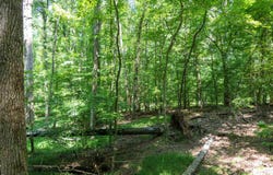 116 Meansville, Union, SC 29379