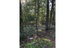 Birchwood Pike, Harrison, TN 37341
