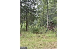 Young, Franklin, GA 30217