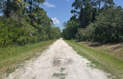 135 Starlight Rd., Crescent City, FL 32112