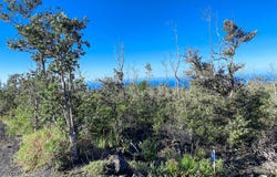 TIKI LN, Ocean View, HI 96737