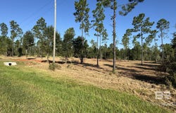03 Archie Road, Elberta, AL 36530