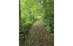 Marshall Rd, Richland Center, WI 53581