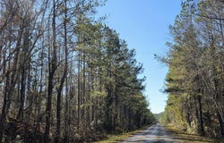 1 County Rd. 23, Marion, AL 36756