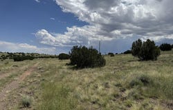 168 CR 5201, Concho, AZ 85924