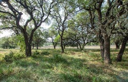 103 Fm-1047, Evant, TX 76880