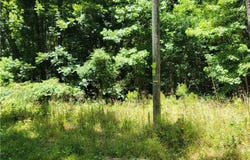 Spring Hill Drive, Covington, GA 30016