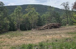 Scenic View lot: 9, Edgemont, AR 72044