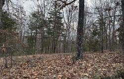 13347 County Road E 76-126, Ava, MO 65608