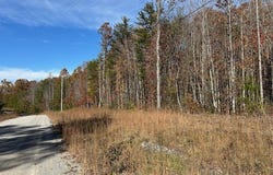 Hilltop Lane lot: 321, Wilder, TN 38589
