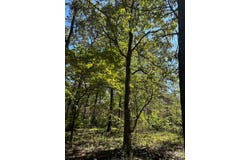 10140 County Road 6610, West Plains, MO 65775