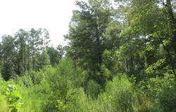 Highway 133, Wilmar, AR 71675