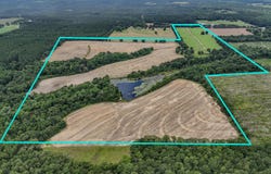 8116 Highway 393, Laurel Hill, FL 32567