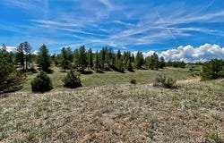 7080 Copper Gulch Rd, Cotopaxi, CO 81223