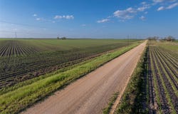 Romburg Rd, Bartlett, TX 76116