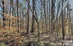 02 Lurecliff Place, Fort Mill, SC 29708