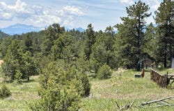 TR42 CR 329, Westcliffe, CO 81252