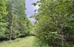 Dann Road, Saranac, NY 12981