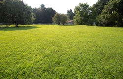 597 WALTON Loop, Covington, TN 38019