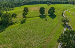0 Hwy 80, Marion Junction, AL 36759