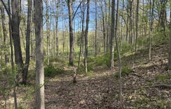 Valley Gate, Milford, MI 48380