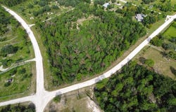 NE 132ND Court, WILLISTON, FL 32696