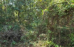 Berwick St., Vidor, TX 77662