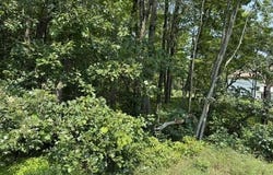 Panther Run Road & Robertson, Jim Thorpe, PA 18229