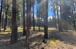 57 E FOREST Dr, Rociada, NM 87742