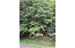 91 Oneida Trail, Malvern, OH 44644
