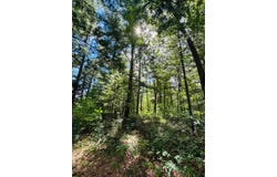 Morningside Drive lot: 7 & 8, Merrifield, MN 56465