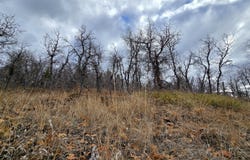 138 E Oak Ridge Drive, Mount Pleasant, UT 84647