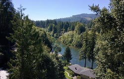 91025 LEASHORE Dr, Vida, OR 97488