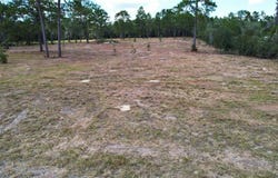 53RD Lane, MORRISTON, FL 32668