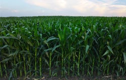 160th Road, Yale, IA 50277