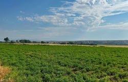 Orchard Bench Rd, Basin, WY 82410