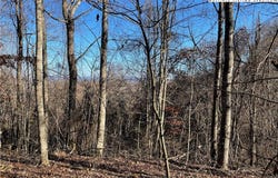 Highland Trail (Lot 7), Grassy Creek, NC 28631